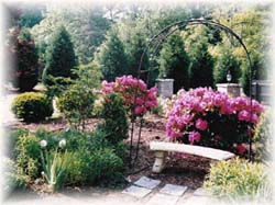 Albemarle Inn - Gardens
