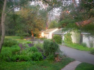 Backyard Garden Oasis a B&B