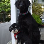 Canterbury Cottage-Ellie May and Melvin