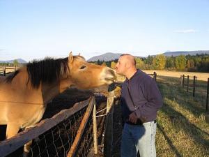 cedarmountainfarmhorse