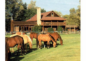 Vee Bar Guest Ranch