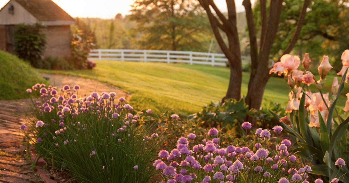 16 Bed & Breakfast Inns Offer Gardens & 50% Off | ILoveInns.com