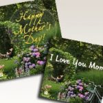 B&B Gift Certificates